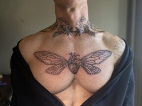 Moth Chest Piece Fine Line